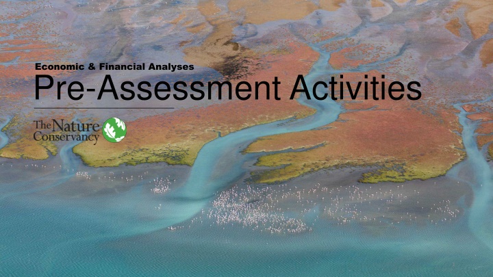 economic financial analyses pre assessment