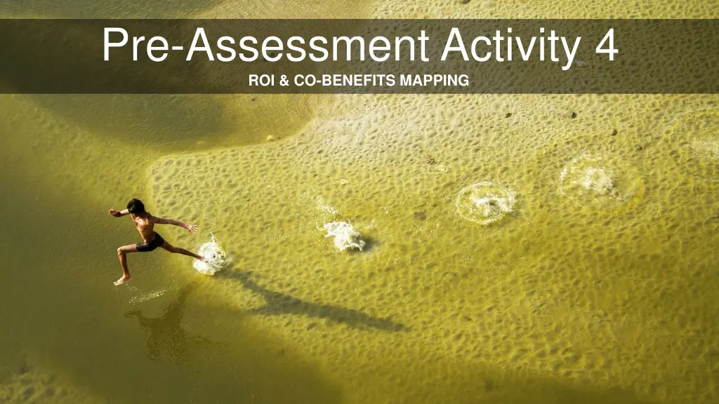 pre assessment activity 4 roi co benefits mapping