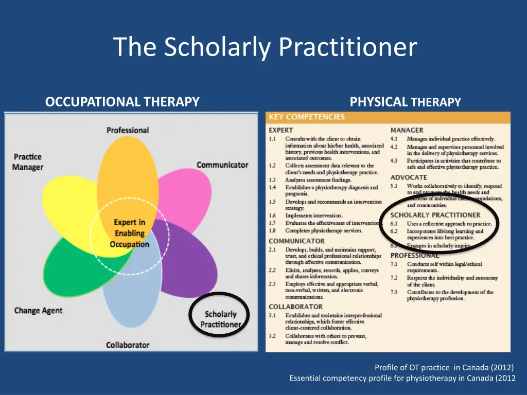 the scholarly practitioner