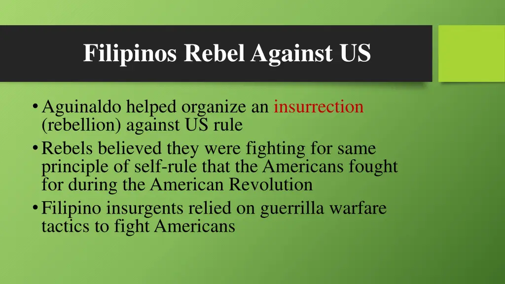 filipinos rebel against us 2