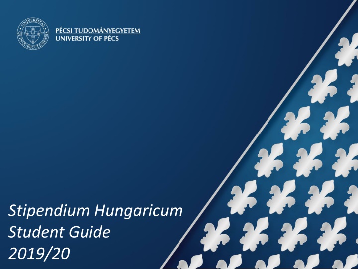 stipendium hungaricum student guide 2019 20