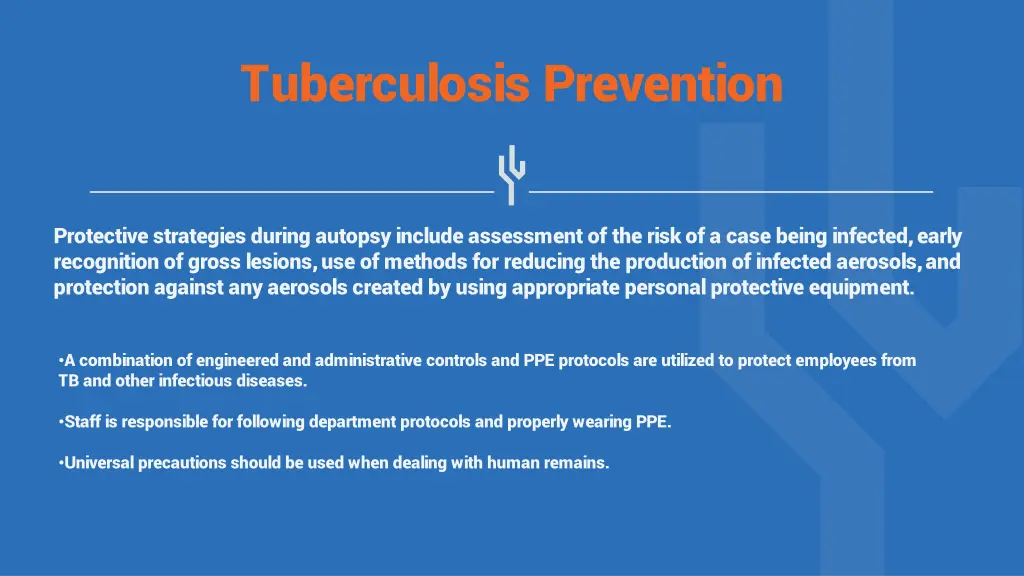 tuberculosis prevention