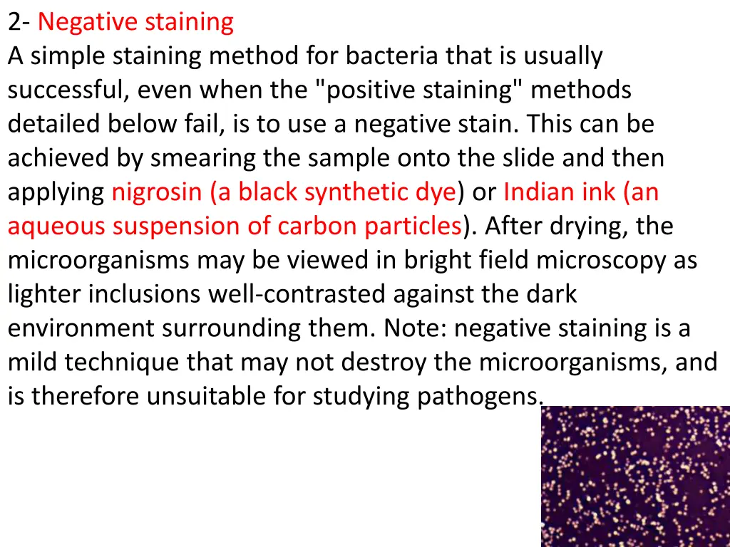 2 negative staining a simple staining method