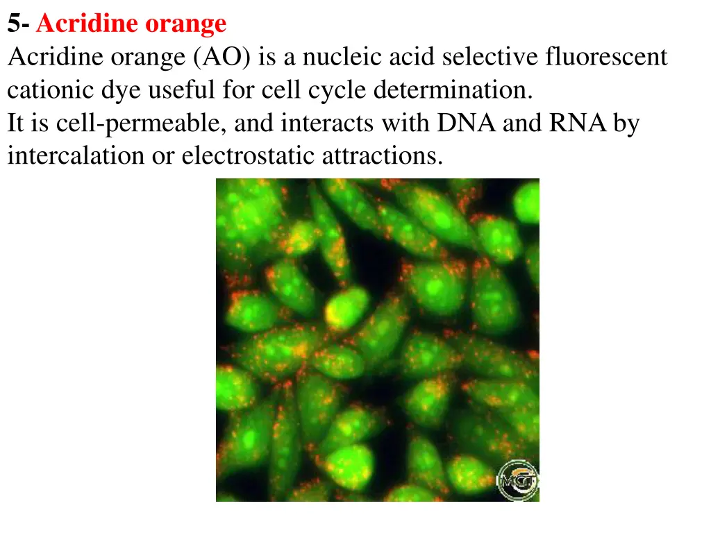 5 acridine orange acridine orange ao is a nucleic