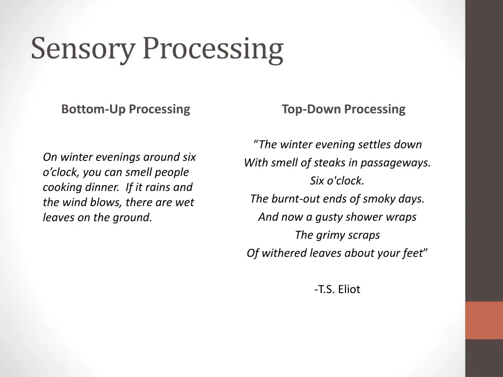 sensory processing 1