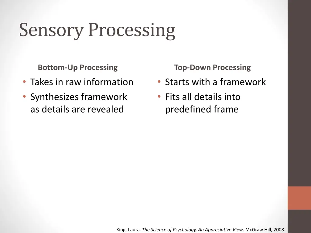 sensory processing