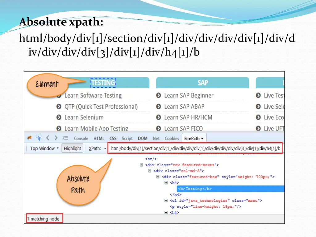 absolute xpath html body div 1 section