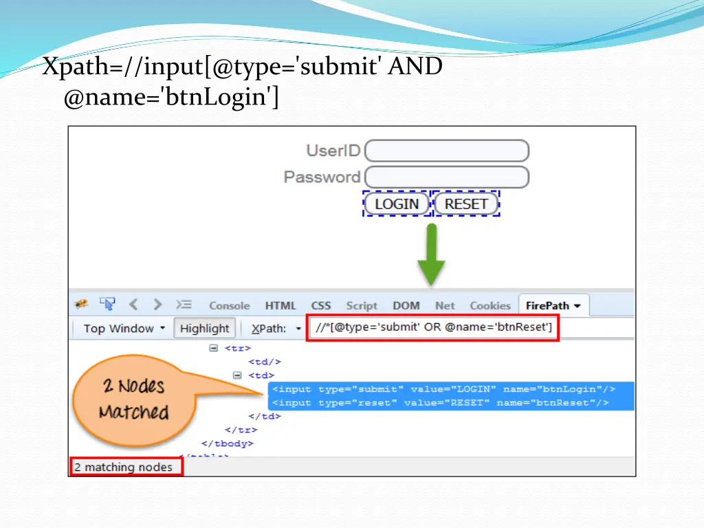 xpath input @type submit and @name btnlogin