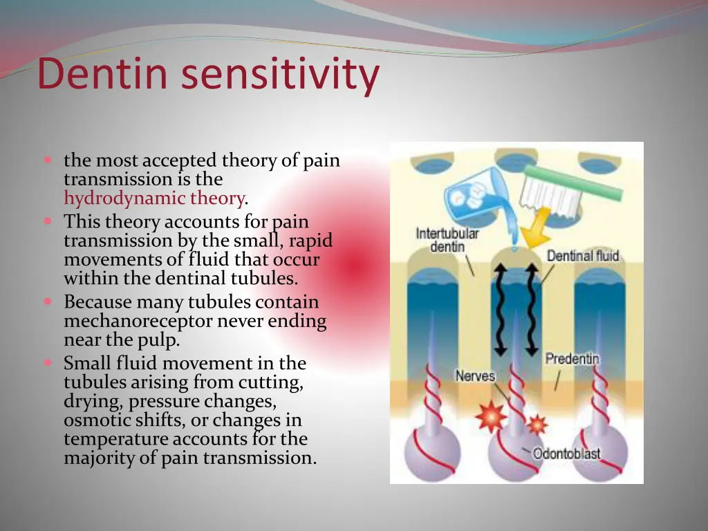 dentin sensitivity