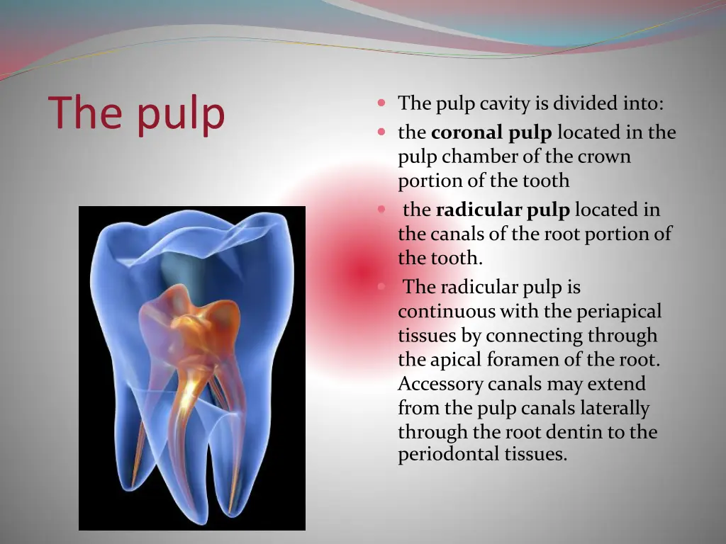 the pulp