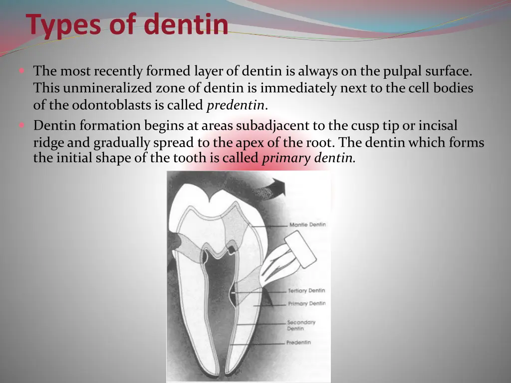 types of dentin