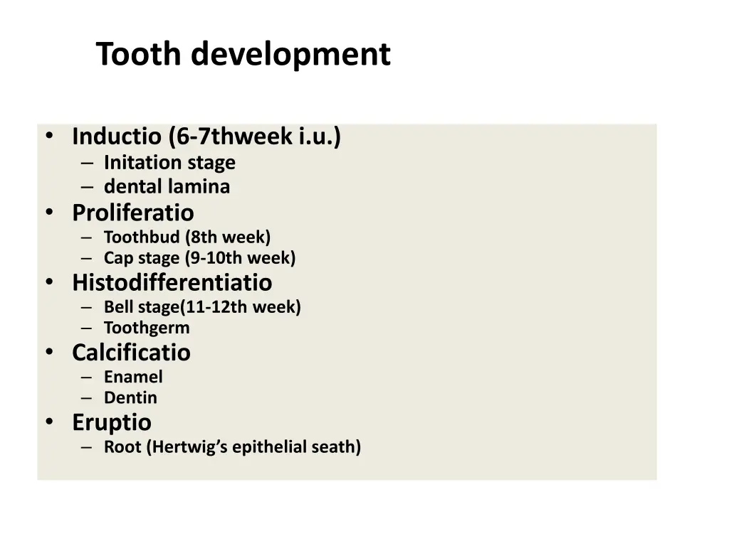 tooth development