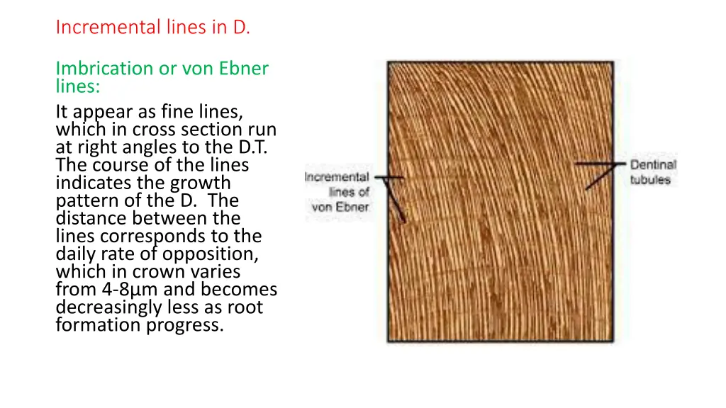 incremental lines in d