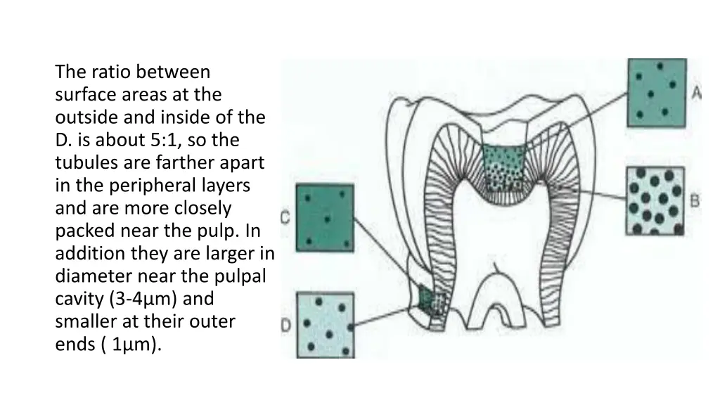 the ratio between surface areas at the outside