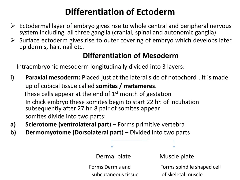 differentiation of ectoderm