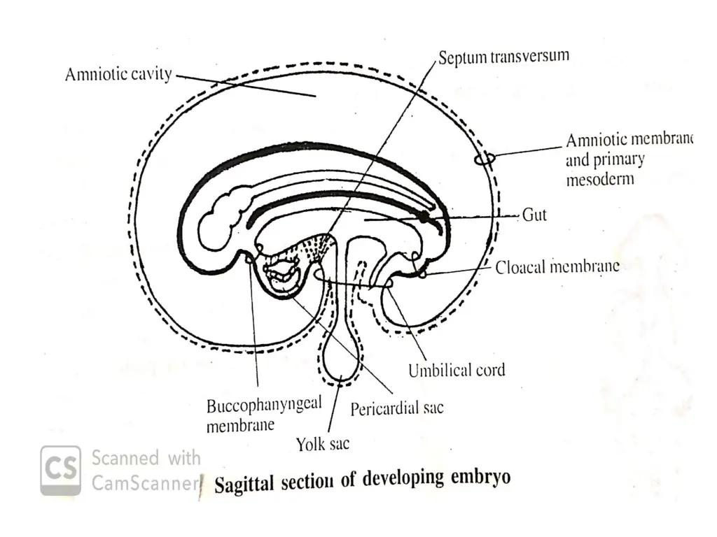 slide8