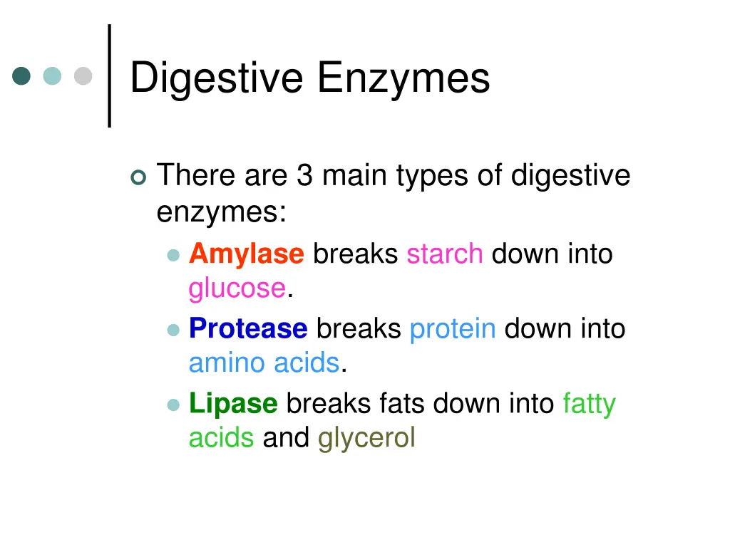 digestive enzymes