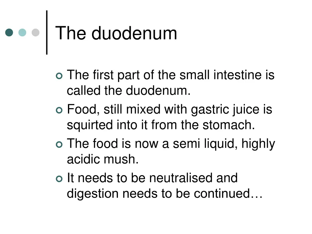 the duodenum