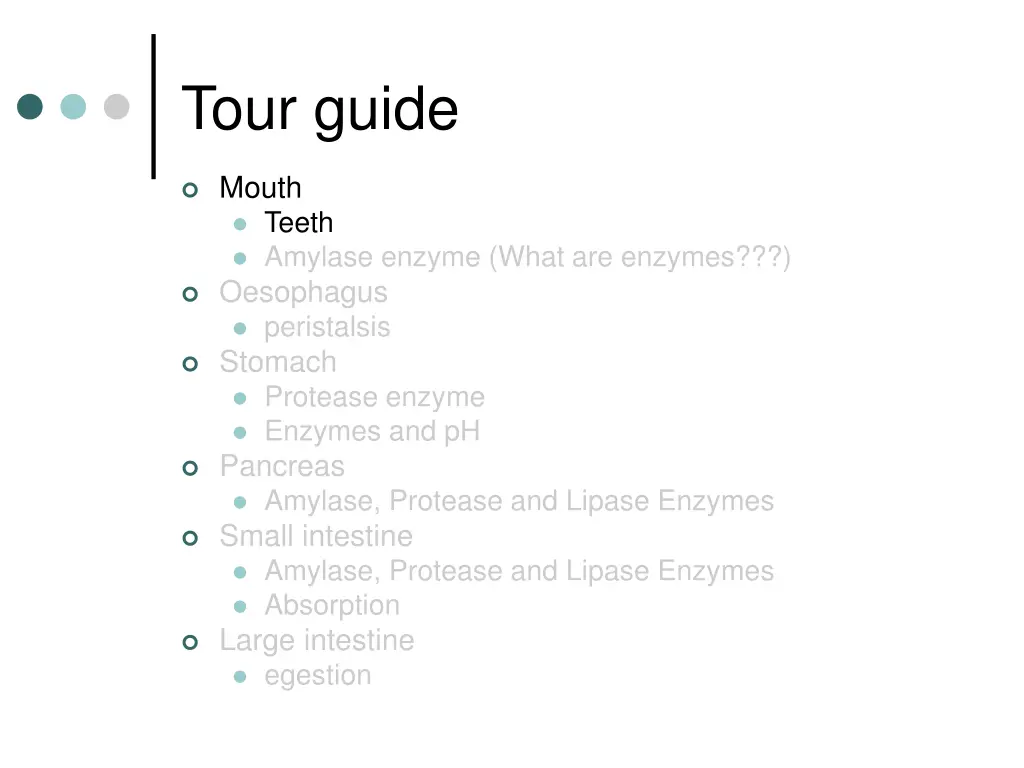 tour guide 1