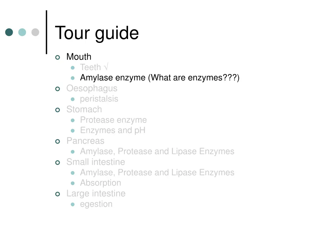 tour guide 2