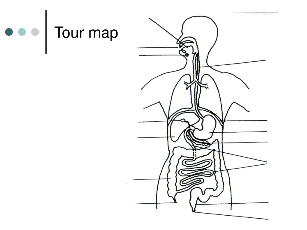 tour map