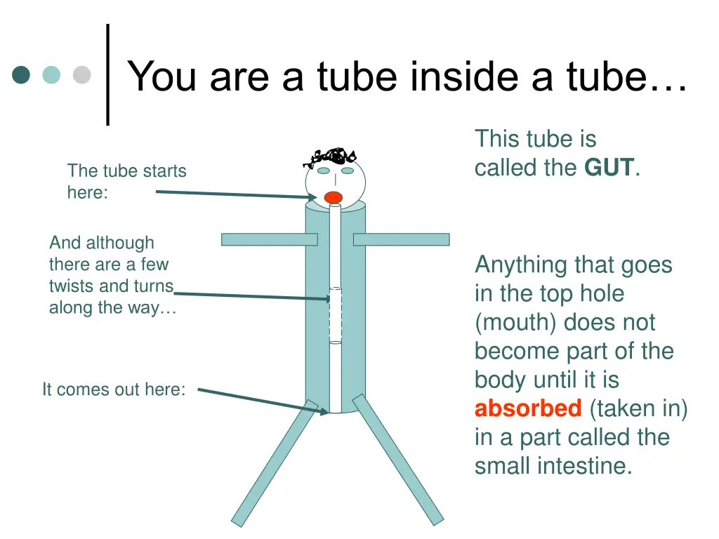 you are a tube inside a tube