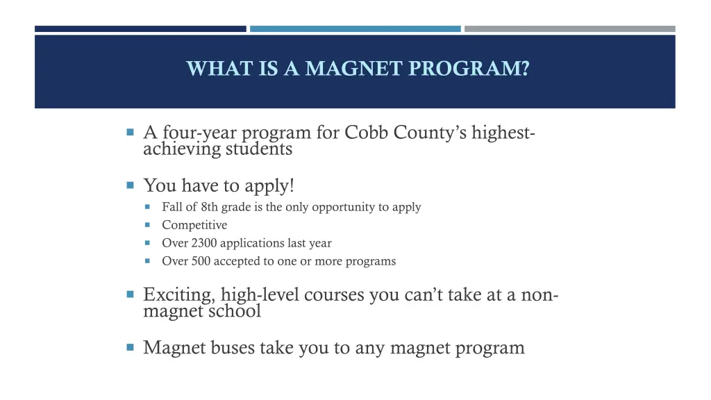 what is a magnet program