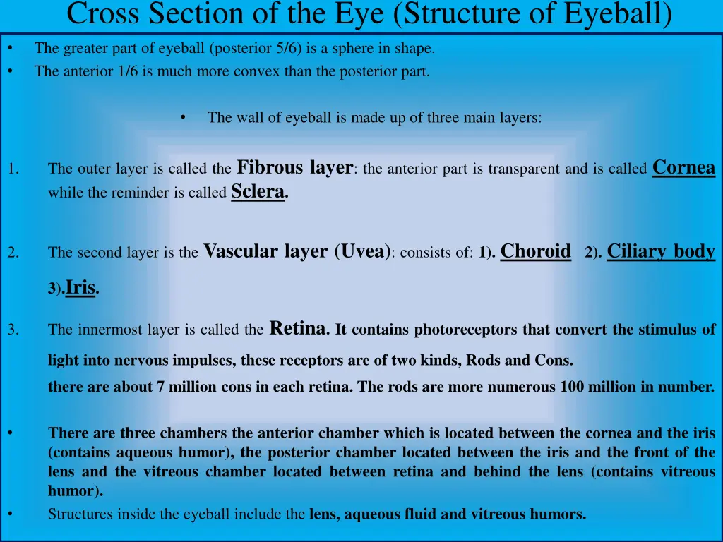 cross section of the eye structure of eyeball