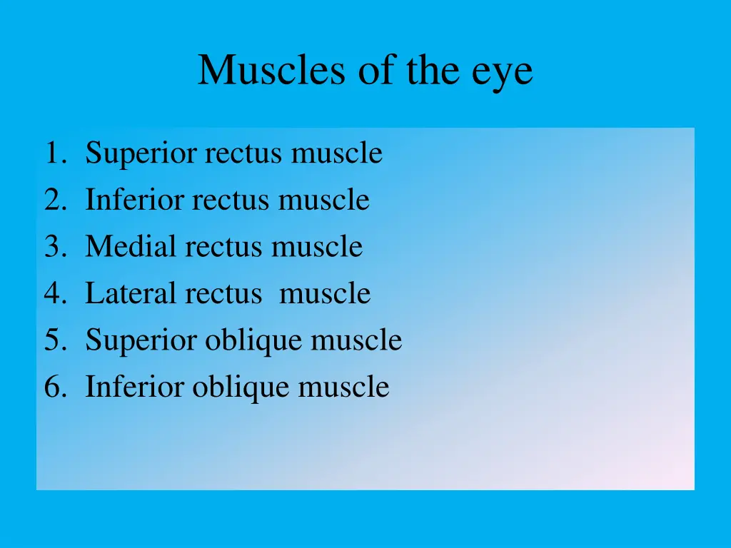 muscles of the eye