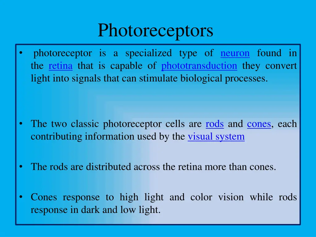 photoreceptors