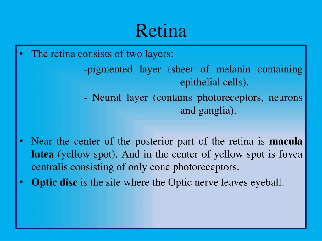 retina