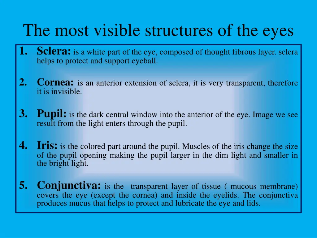 the most visible structures of the eyes 1 sclera