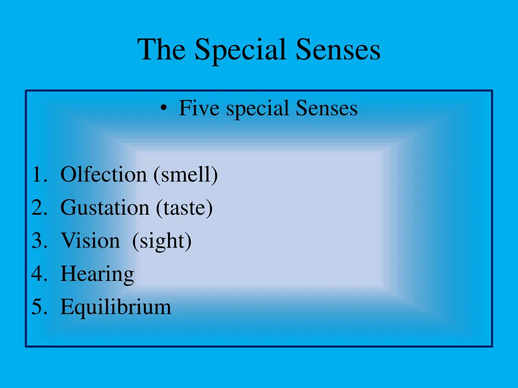 the special senses 1