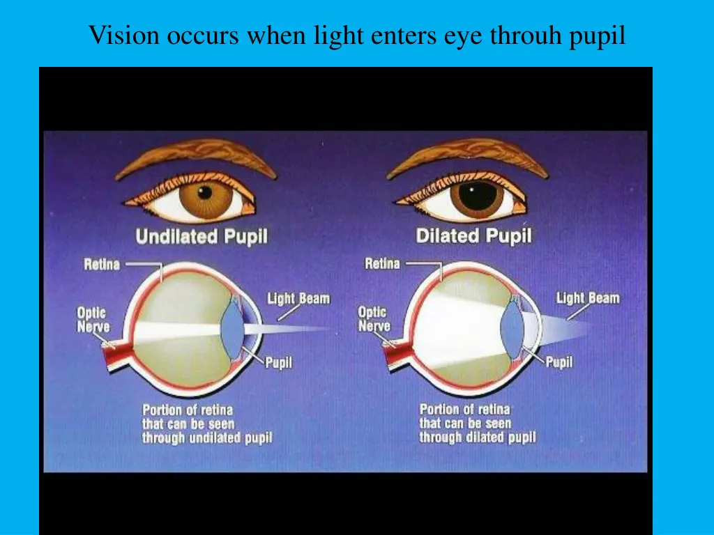 vision occurs when light enters eye throuh pupil