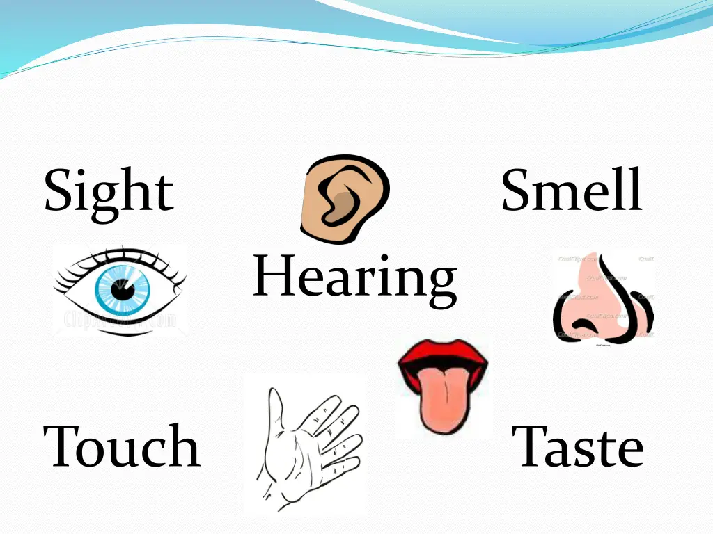 ear body part clip art