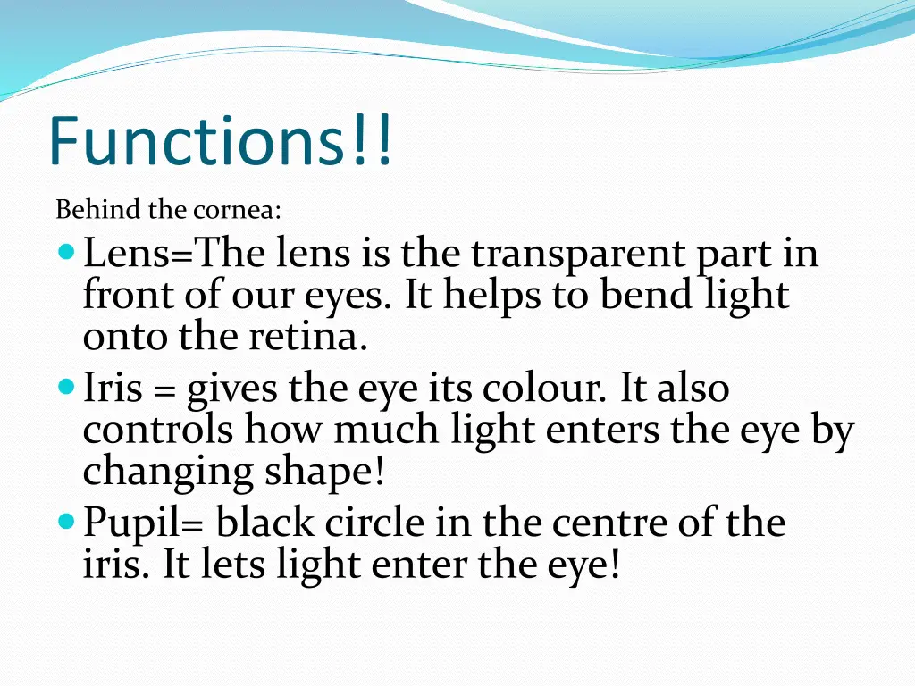 functions behind the cornea lens the lens