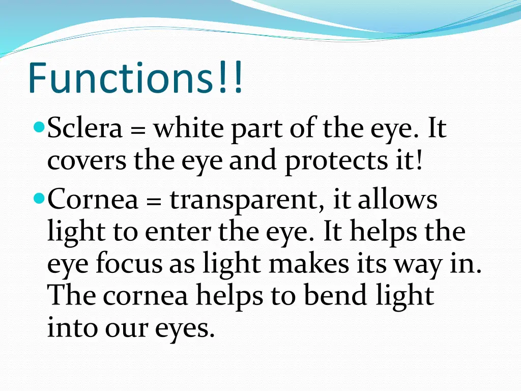 functions sclera white part of the eye it covers