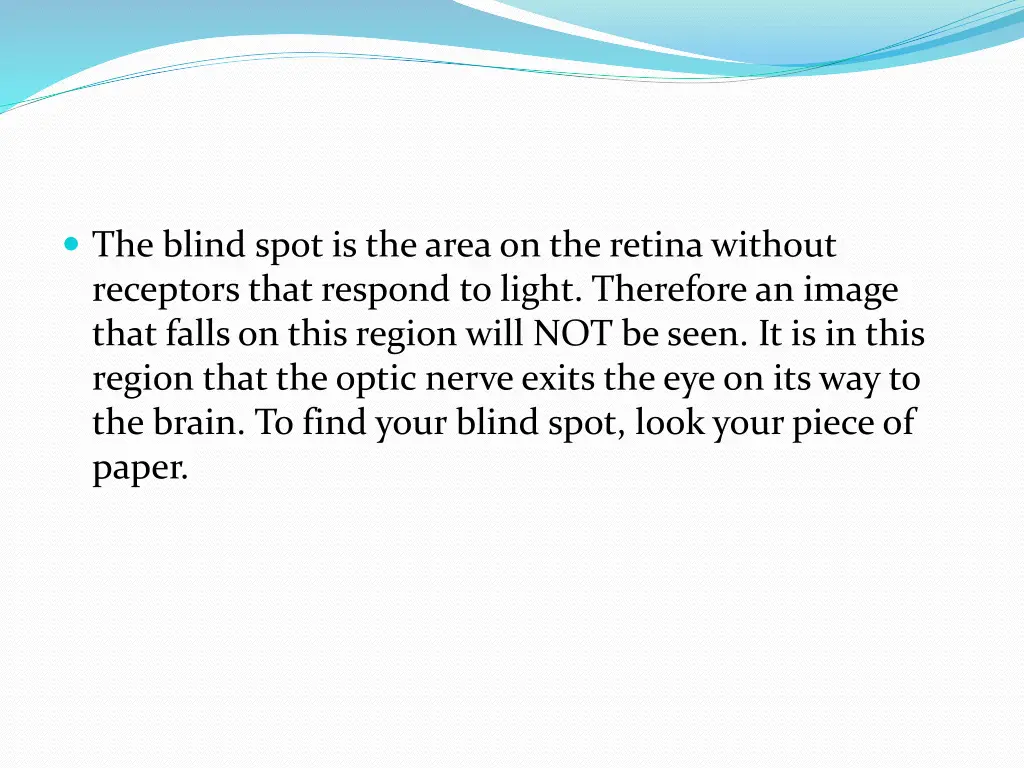 the blind spot is the area on the retina without