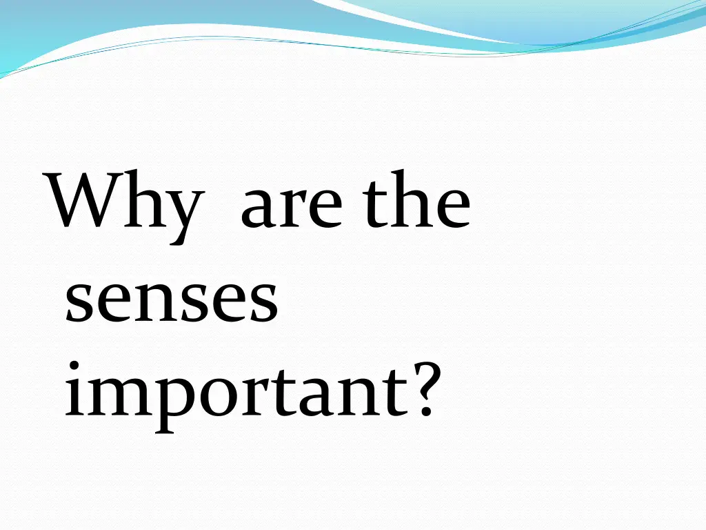 why are the senses important