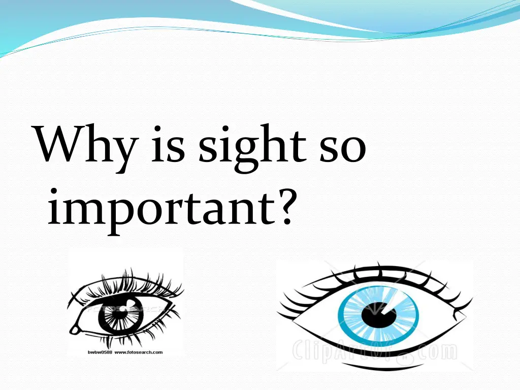 why is sight so important