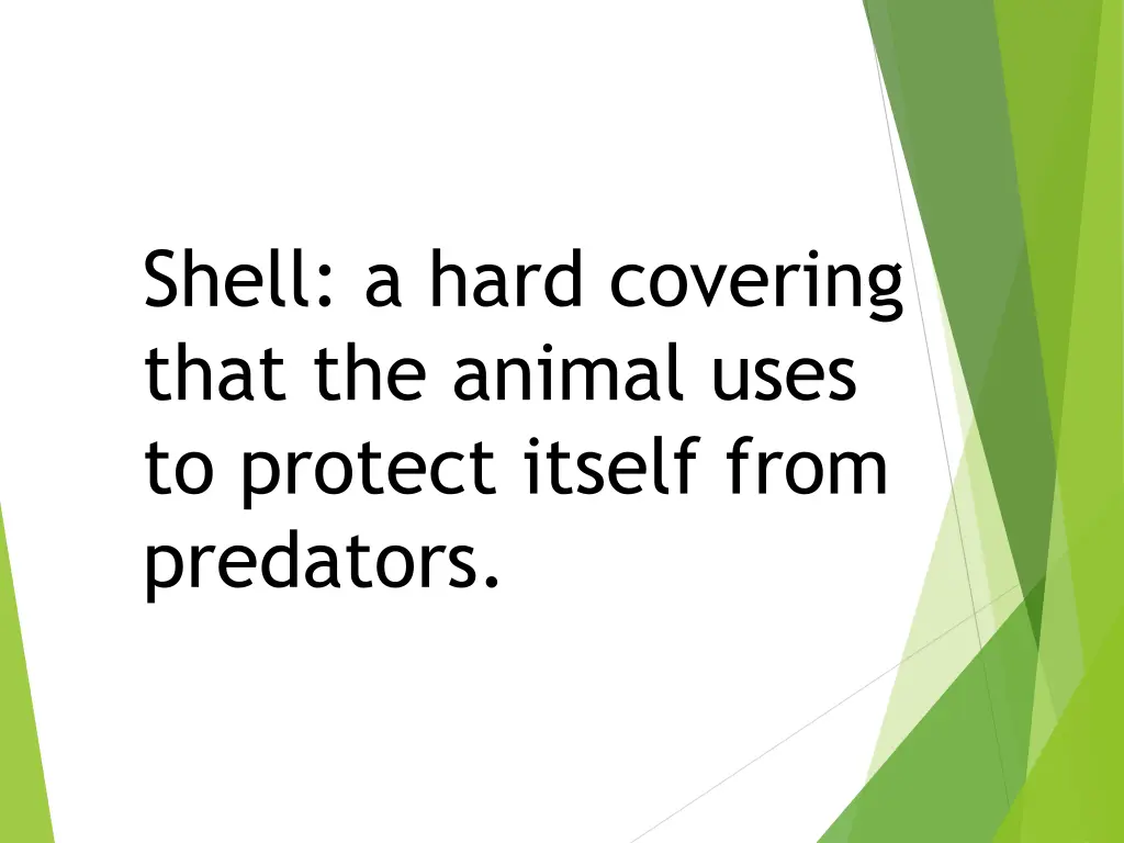 shell a hard covering that the animal uses