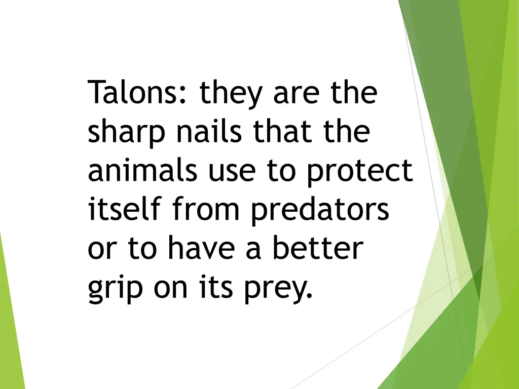 talons they are the sharp nails that the animals