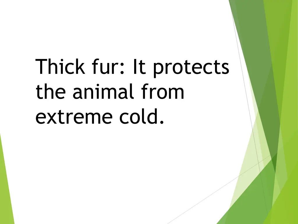 thick fur it protects the animal from extreme cold