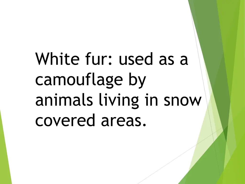 white fur used as a camouflage by animals living