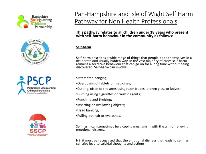 pan hampshire and isle of wight self harm pathway