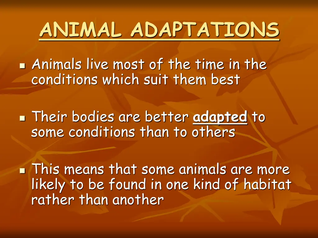 animal adaptations