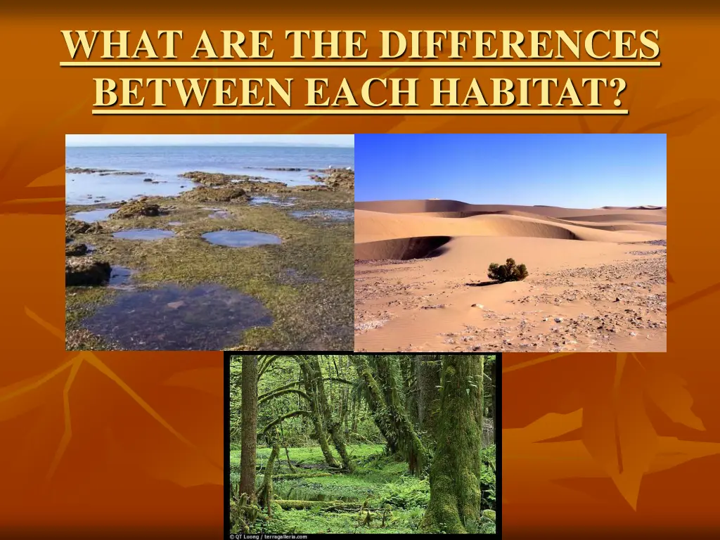 what are the differences between each habitat