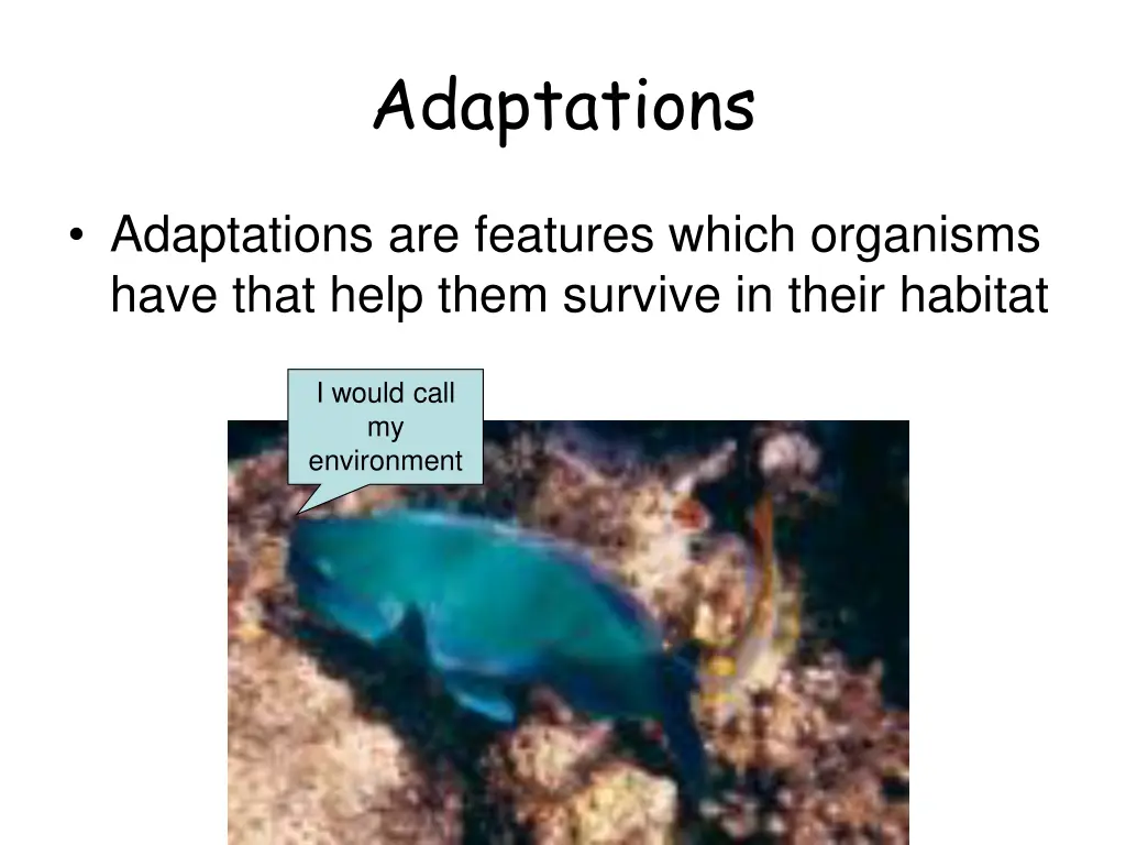 adaptations