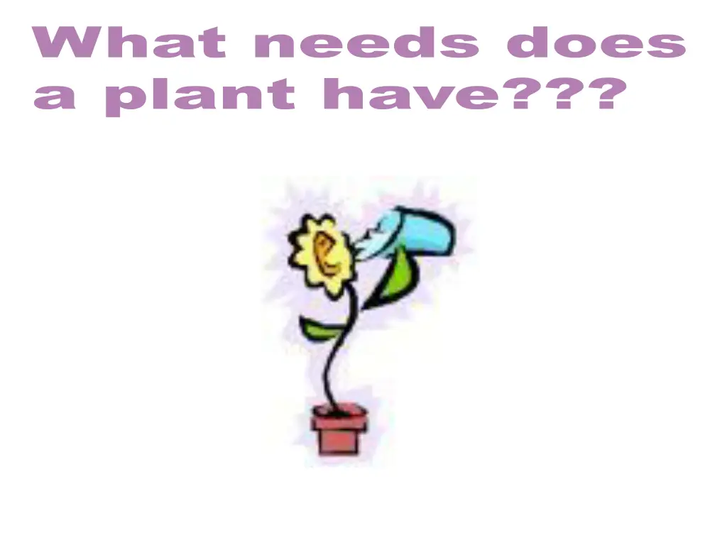 what needs does a plant have