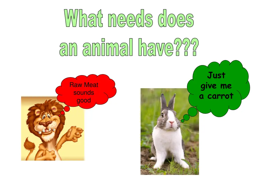 what needs does an animal have